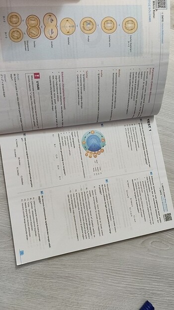 Beden Test kitabı