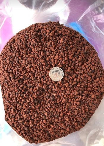 LAV KIRIĞI - Görsel 2