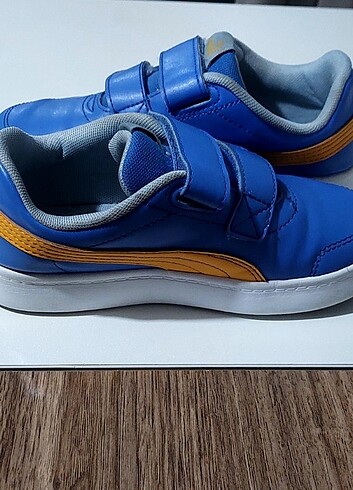 Puma Pumaa