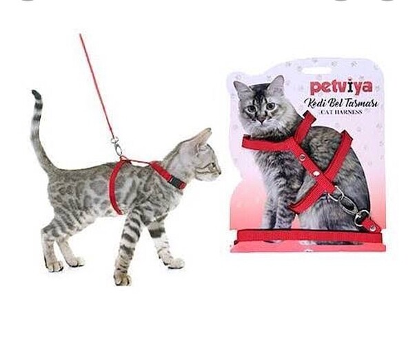 Pembe kedi göğüs tasması