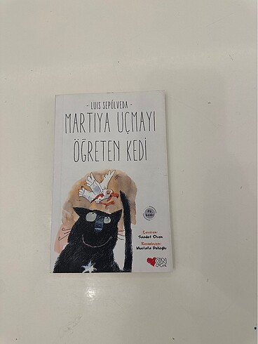 Martıya uçmayı Öğreten kedi