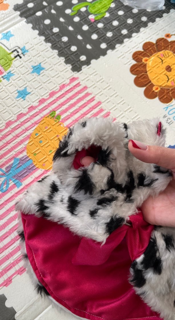 Leopar Desenli Kürklü Renkli Kedi köpek Kıyafeti - Görsel 4