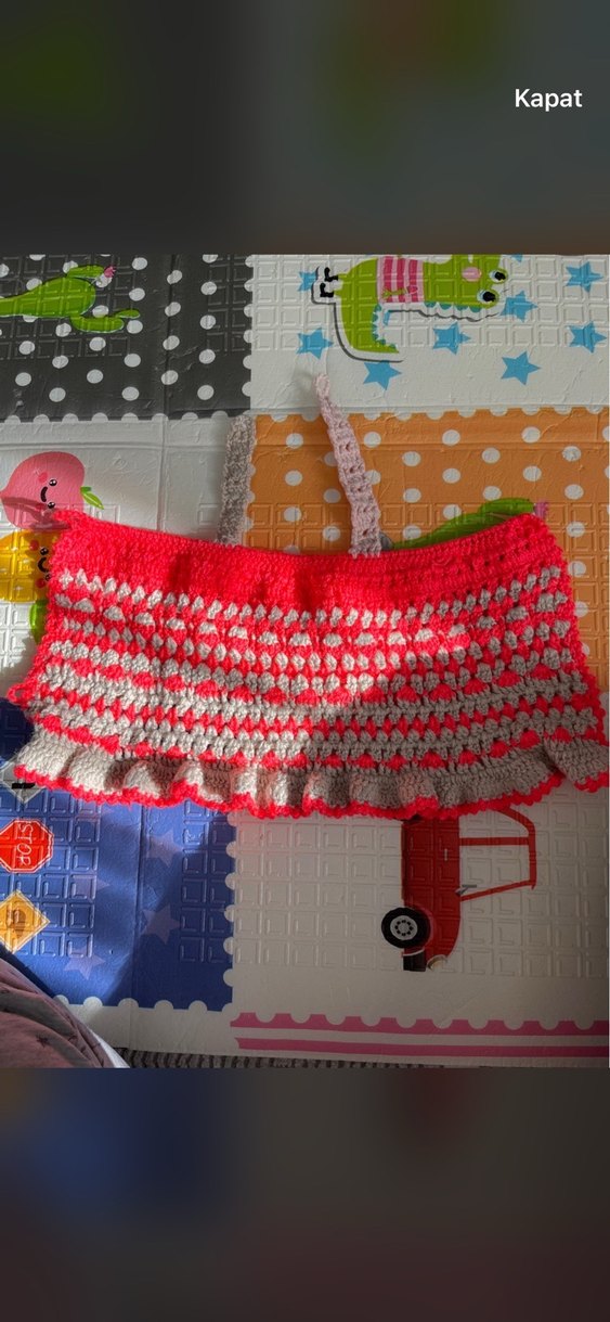 Renkli Nakışlı kedi köpek kıyafeti - Görsel 2