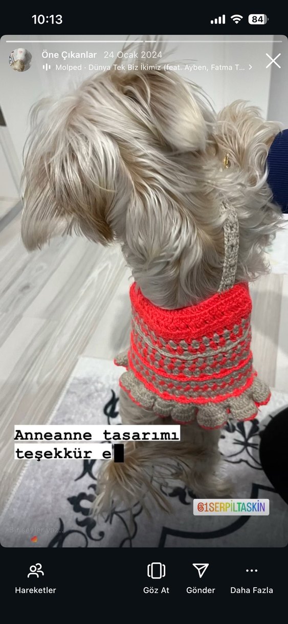 Renkli Nakışlı kedi köpek kıyafeti - Görsel 3