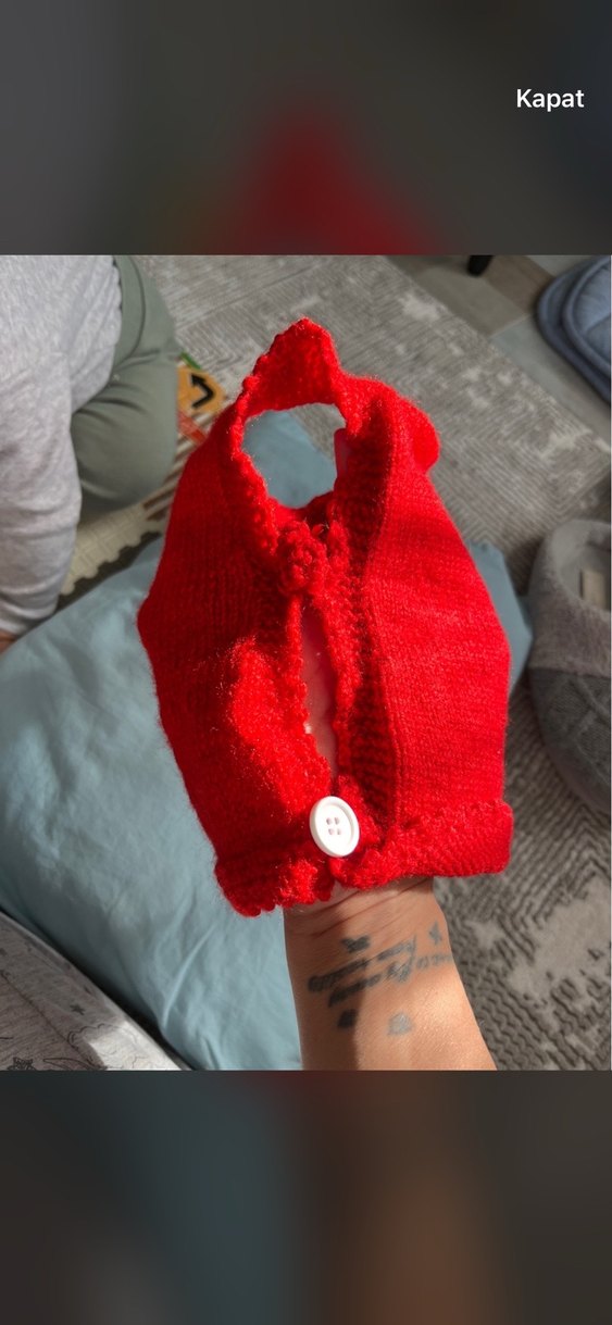 Kırmızı kedi köpek kıyafeti - Görsel 2