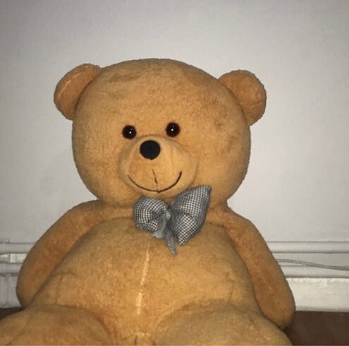 Diğer Oyuncak peluş ayı