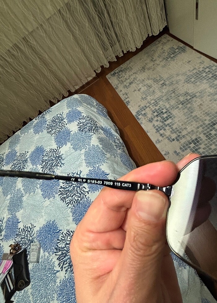 Robert Roche - Görsel 3