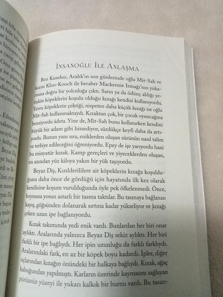 Jack London - Beyaz Diş Romanı - Görsel 4