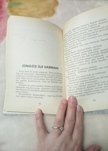 Altın Kaz - Mevlüt Kaplan - Görsel 3