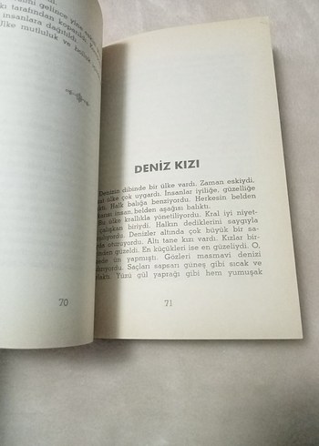 Altın Kaz - Mevlüt Kaplan - Görsel 4