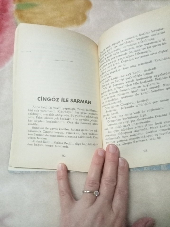 Altın Kaz - Mevlüt Kaplan - Görsel 3