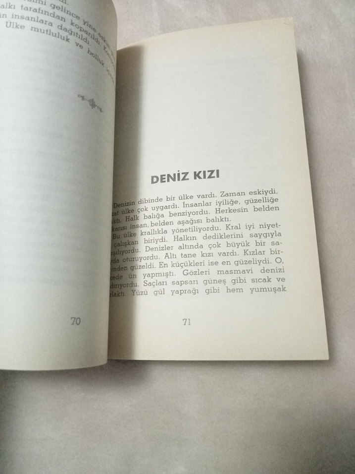 Altın Kaz - Mevlüt Kaplan - Görsel 4