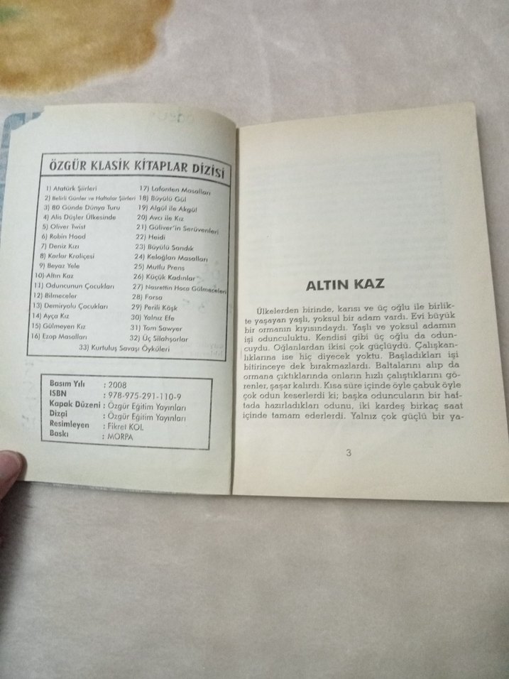 Altın Kaz - Mevlüt Kaplan - Görsel 2