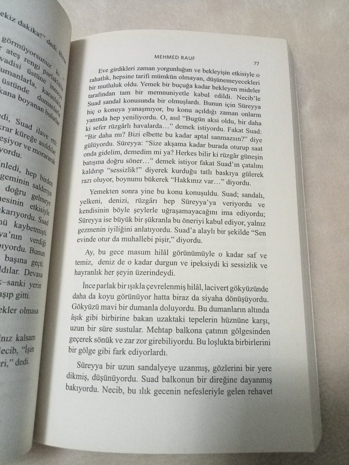 Eylül - Mehmed Rauf (Salon Yayınları) - Görsel 4