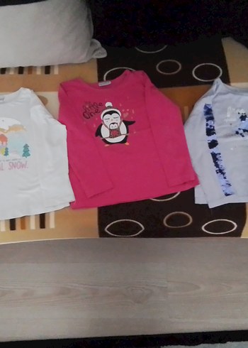 Kız Çocuk Pembe Uzun Kollu Baskılı Tişört