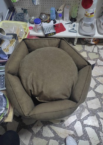  Beden Rengarenk kedi yatakları
