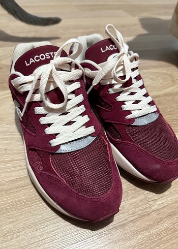 38 Beden Bordo Lacoste Bağcıklı Spor Ayakkabı