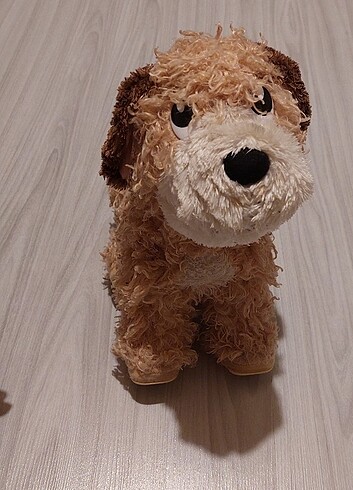 Konuşan köpek