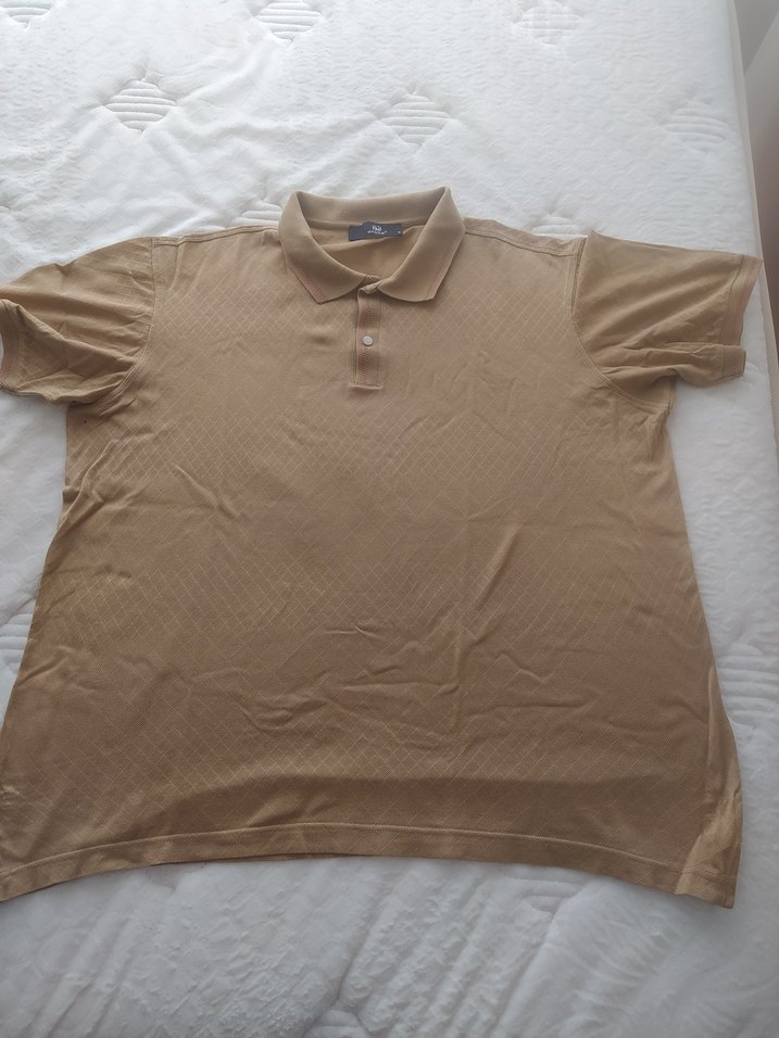 BİSSE Bej Regular Fit Kısa Kollu Polo Tişört - Görsel 2