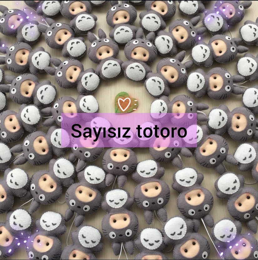 Anime Totoro karakterleri - Görsel 2