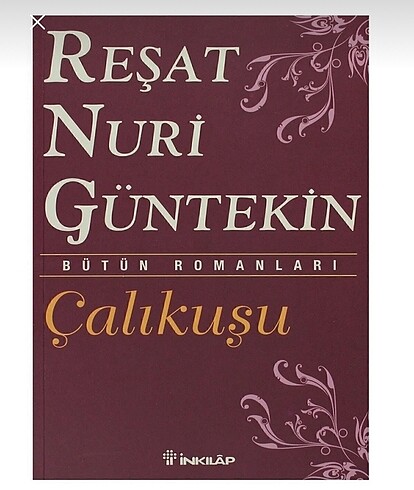 Çalıkuşu Romanı