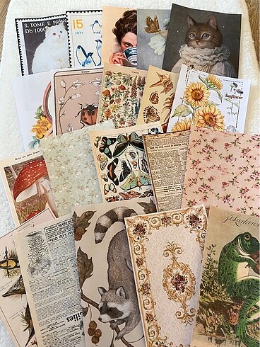  Beden Renk Desenli journal kağıtları, bullet paper