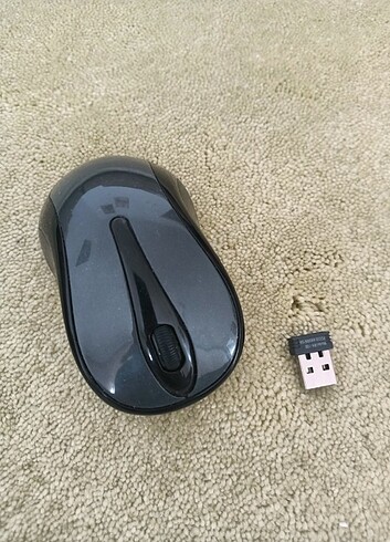 Mouse