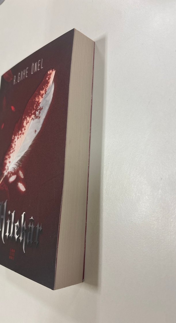 Hilekâr - R. Gaye Önel - Görsel 3