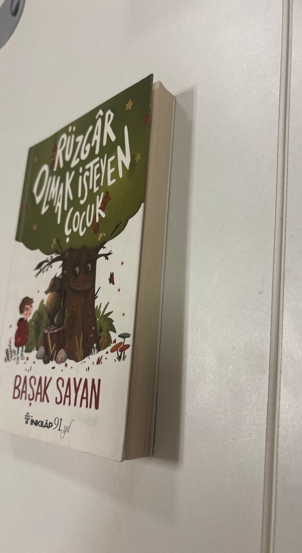 Rüzgar Olmak İsteyen Çocuk - Başak Sayan - Görsel 3