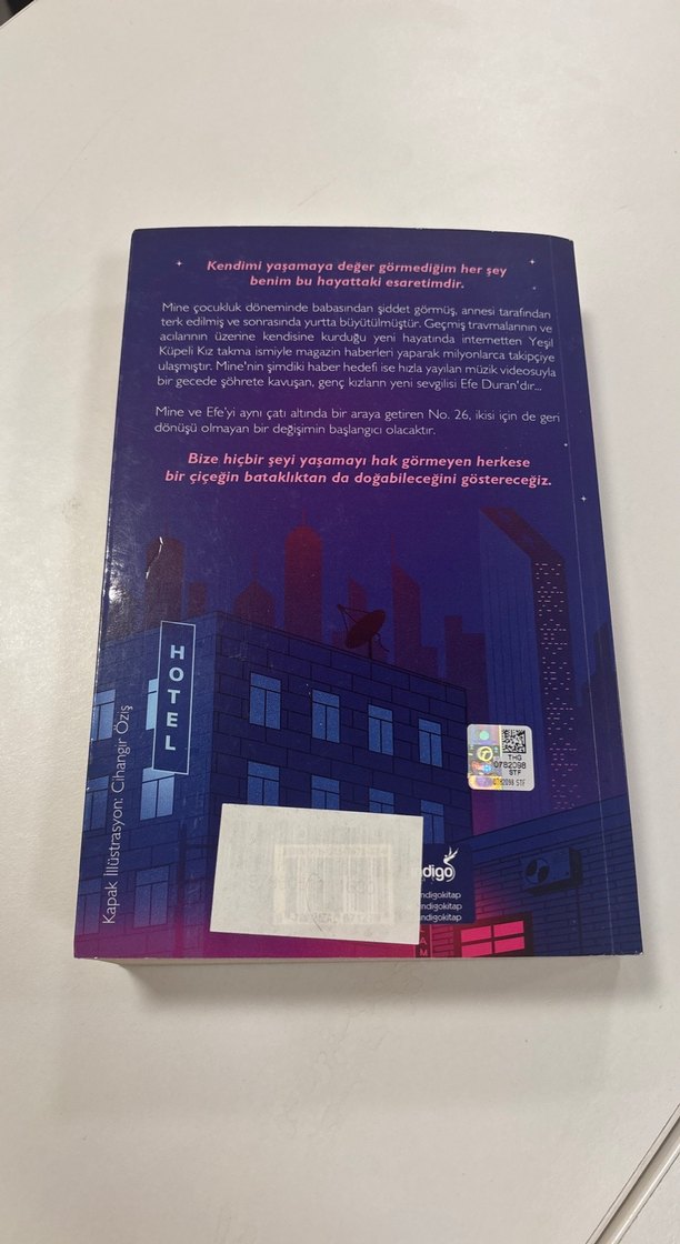 No. 26 - Beyza Alkoç - Görsel 2