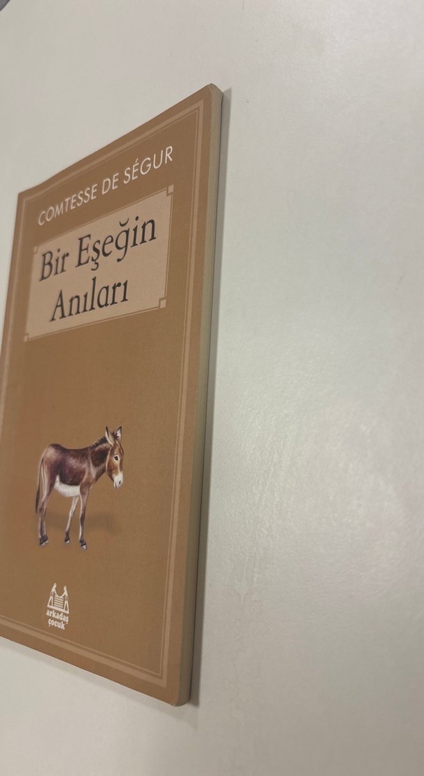 Bir Eşeğin Anıları - Comtesse de Ségur - Görsel 3