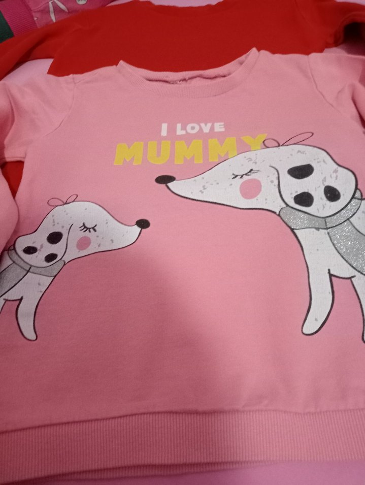 Kız Çocuk Pembe Baskılı Sweatshirt - Görsel 3