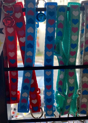 Renkli Kedi Tasması Seti Çanlı - Görsel 2