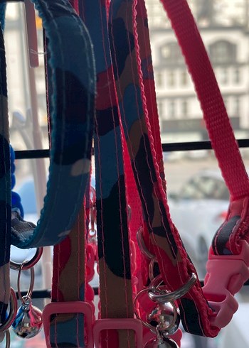 Renkli Kedi Tasması Seti Çanlı - Görsel 4