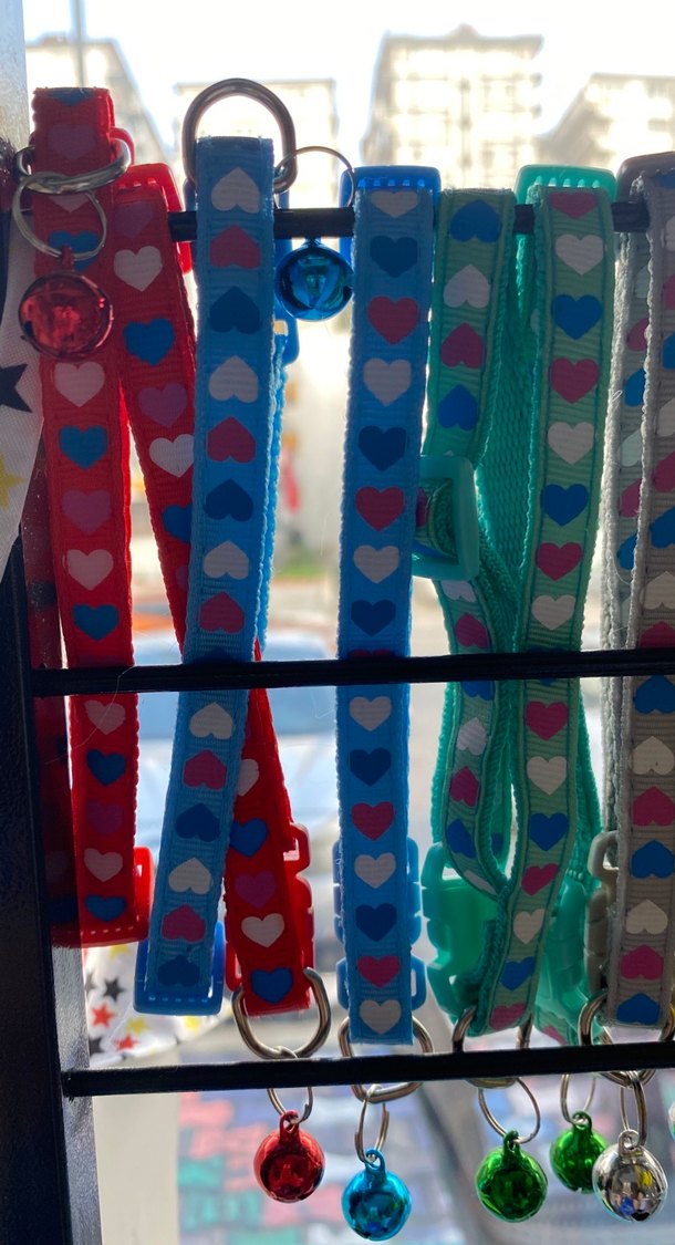 Renkli Kedi Tasması Seti Çanlı - Görsel 2