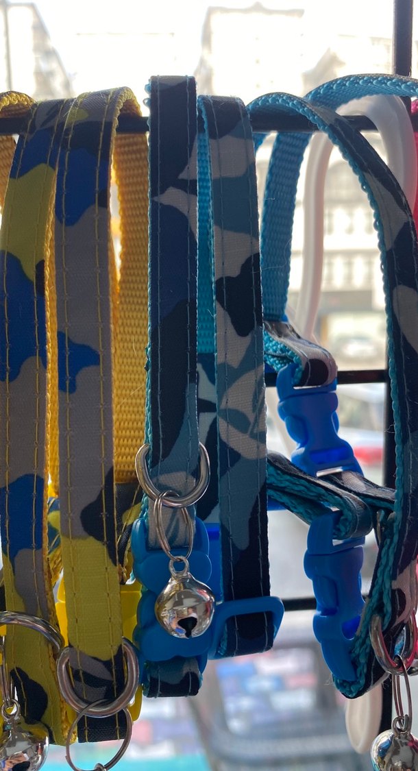 Renkli Kedi Tasması Seti Çanlı - Görsel 3