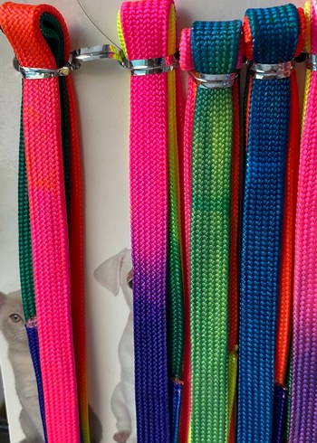 Renkli Kedi Tasması ve Gezdirme Kayışı - Görsel 3