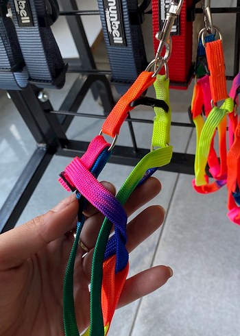 Renkli Kedi Tasması ve Gezdirme Kayışı - Görsel 2