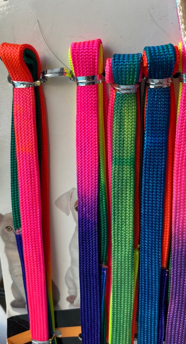 Renkli Kedi Tasması ve Gezdirme Kayışı - Görsel 3