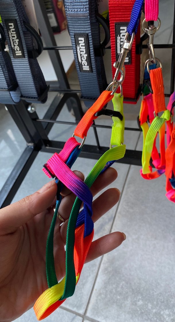 Renkli Kedi Tasması ve Gezdirme Kayışı - Görsel 2