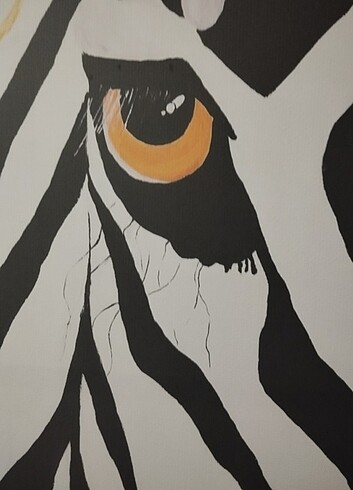 Diğer ZEBRA TABLO