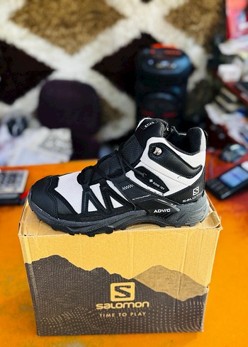 Salomon 41