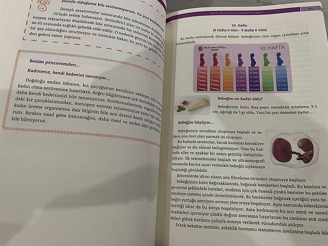 Hamilelik ve Doğum kitabı