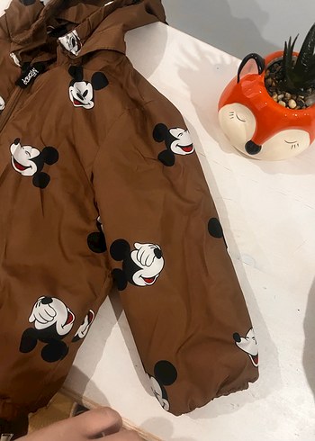 Hm marka içi Polarlı yağmurluk - Görsel 4