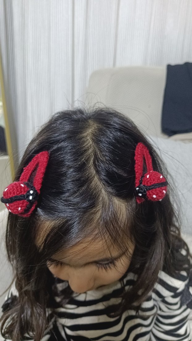 uğurbocekli toka - Görsel 2