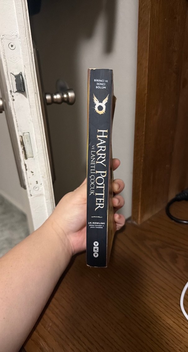 Harry Potter ve Lanetli Çocuk Özel Baskı - Görsel 3