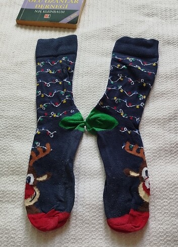 Alman ürün - Görsel 4