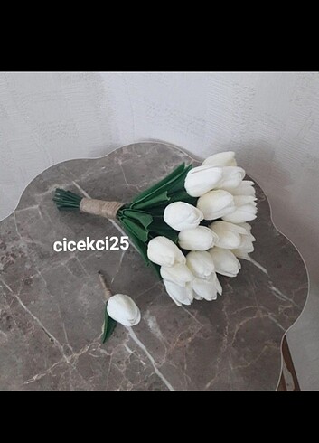 Islak Lale beyaz 