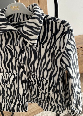 Gri Zebra Desenli Kadın ceket - Görsel 2
