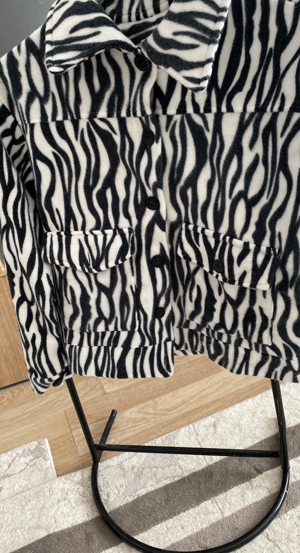 Gri Zebra Desenli Kadın ceket - Görsel 3